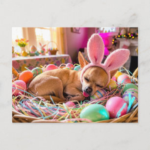 Chihuahua Slapend in Paasmand Briefkaart