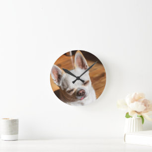 Chihuahua slaperige knipoog ontspannen tong uit Fo Ronde Klok