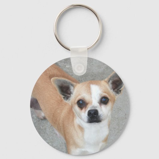 CHIHUAHUA SLEUTELHANGER (Voorkant)