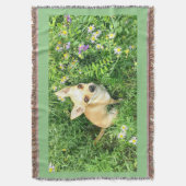 Chihuahua tapestry "sage green" gooi. deken (Voorkant Verticaal)
