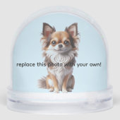 Chihuahua transformé (Arrière)