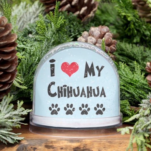 Chihuahua transformé (Hiver)