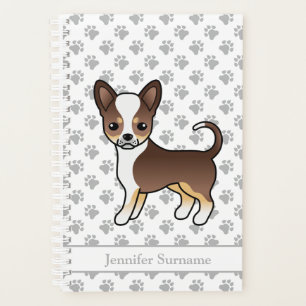 Chihuahua Tricolor Lisse au Pelage Chocolat & Text