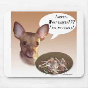 Chihuahua Turkije Muismat