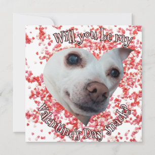 Chihuahua Valentijnsdag Flat Vakantie Kaart