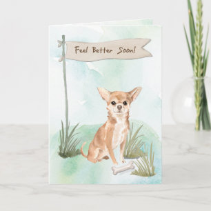 Chihuahua voelt zich beter na chirurgie naar Dog Kaart