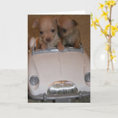 Chihuahua-Wenskaart Kaart (Gele Bloem)