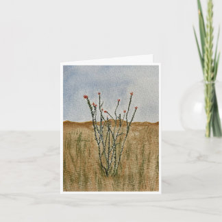 Chihuahua Woestijn Ocotillo Wenskaart Kaart