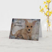 Chihuahua/Yorkie-puppy Kaart (Gele Bloem)