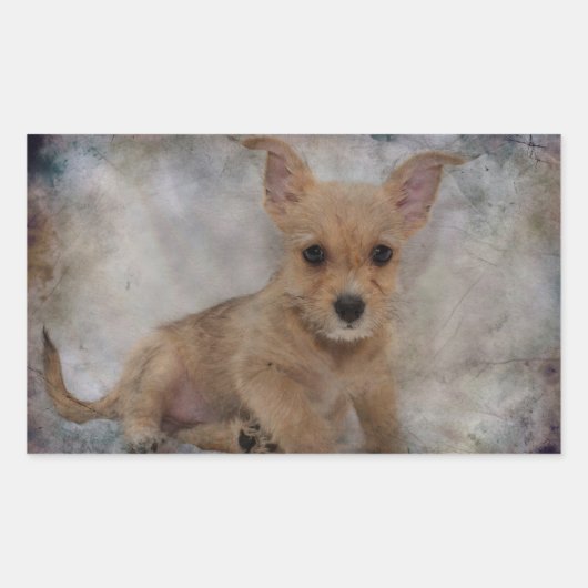 Chihuahua/Yorkie Puppy Rechthoekige Sticker (Voorkant)
