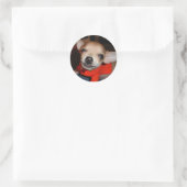 CHIHUAHUA ZEG KAAS! RONDE STICKER (Tas)