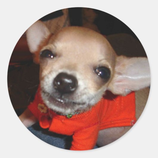 CHIHUAHUA ZEG KAAS! RONDE STICKER (Voorkant)