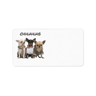 CHIHUAHUAS ETIKET