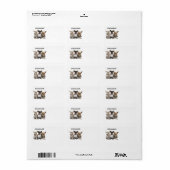 CHIHUAHUAS ETIKET (Full Sheet)