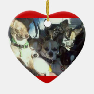 Chihuahuas Heart Ornament