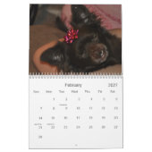 Chihuahua's Kalender (Feb 2027)