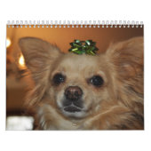 Chihuahua's Kalender (Hoes)