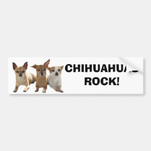 Chihuahuas Rock Bumpersticker