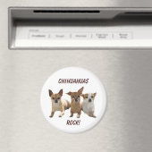 Chihuahuas Rock Magnet (In Situ (Lave-vaisselle))