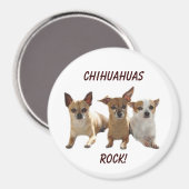 Chihuahuas Rock Magnet (Recto/Verso)