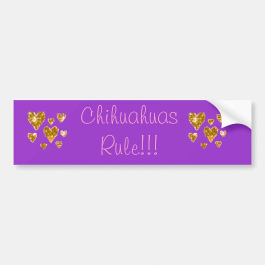 Chihuahuas Rule!!! Bumpersticker (Voorkant)