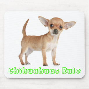 Chihuahuas Rule Puppy Dog Computer Muismat