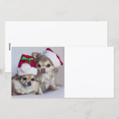 Chihuahuas van Kerstmis Feestdagenkaart (Voorkant / Achterkant)