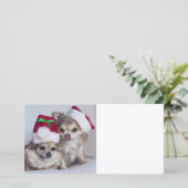 Chihuahuas van Kerstmis Feestdagenkaart (Staand voorkant)