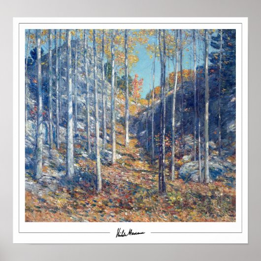 Childe Hassam Zedign affiche d'art #359 (Devant)