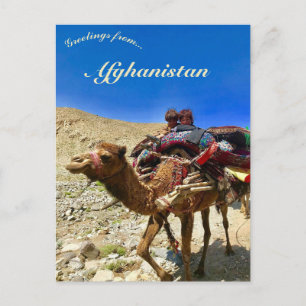 Children on a Camel in Herat Afghanistan Briefkaart