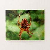 Children's Spider Puzzle Legpuzzel (Horizontaal)