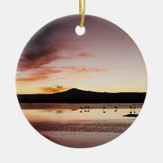 Chilean Flamingo Keramisch Ornament (Voorkant)