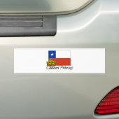 Chilean Princess Bumpersticker (Op auto)