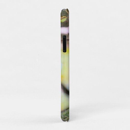 Chileense eekhoorn Case-Mate iPhone case (Achterkant/rechts)