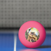 Chileense eekhoorn pingpongballen (Net)