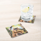 Chileense eekhoorn vierkante kartonnen onderzetter (Insitu)