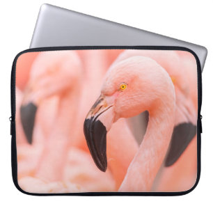 Chileense flamingo (Phoenicopterus chilensis), met Laptop Sleeve