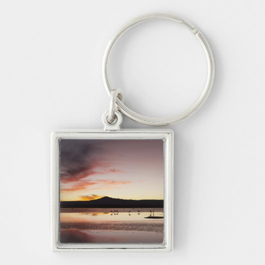 Chileense Flamingo Sleutelhanger (Voorkant)