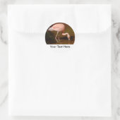 Chileense Flamingo Wildlife Ronde Sticker (Tas)
