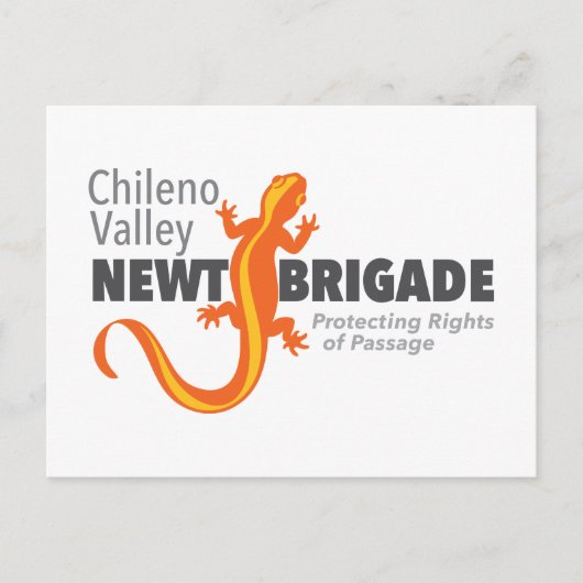 Chileno Valley Newt Brigade Briefkaart (Voorkant)