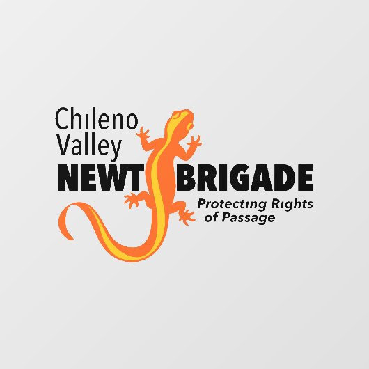 Chileno Valley Newt Brigade Window Cling Raamsticker (Vel)