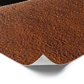 Chiles, Blue & Shadows, photo poster JLH (Coin)