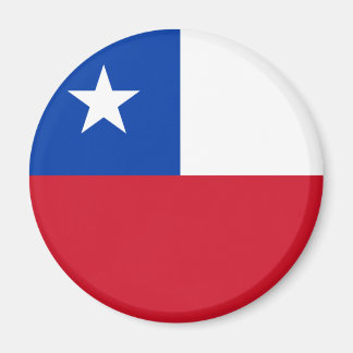 Chili Flag Magnet Magneet