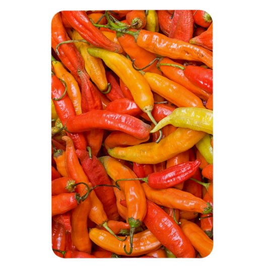 Chili Magneet (Verticaal)