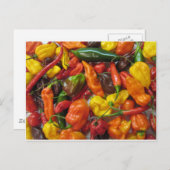 Chili Pile Briefkaart (Voorkant / Achterkant)