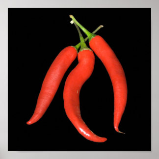 chili poster