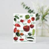 Chili Varieties Briefkaart (Staand voorkant)