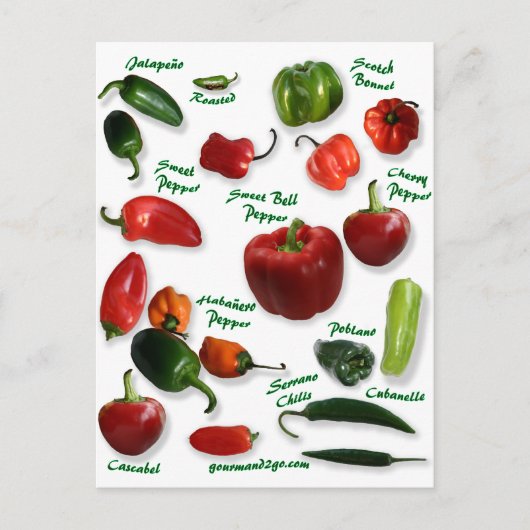 Chili Varieties Briefkaart (Voorkant)