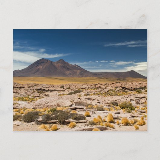 Chili - Volcan dans le désert d'Atacama carte post (Devant)