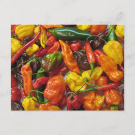 Chilihead-kaart Briefkaart